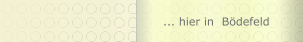 ... hier in  Bödefeld